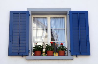 Decorative Window Shutters